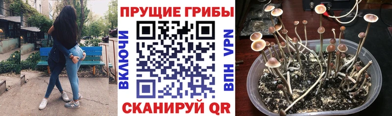 Галлюциногенные грибы Psilocybe  ссылка на мегу сайт  Ухта 